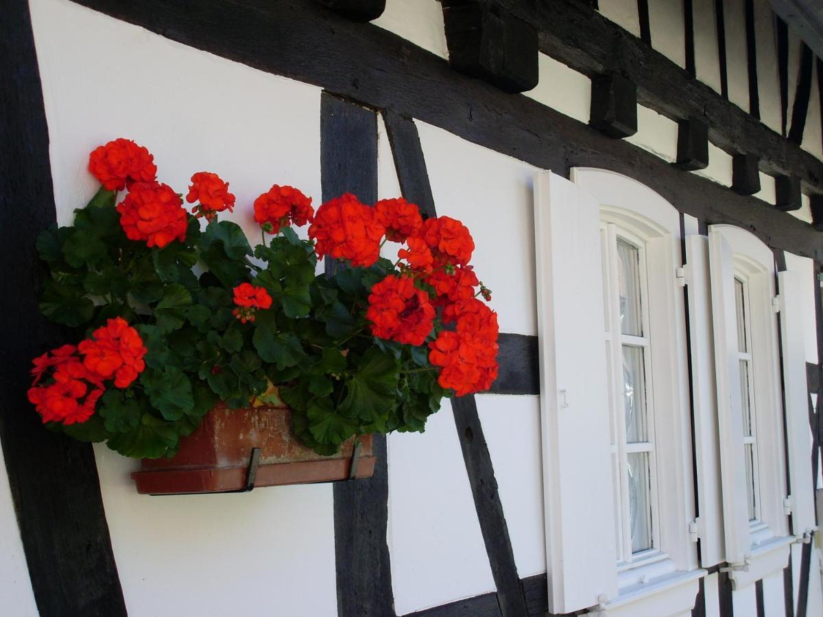 Gites Et Chambres D'Hotes Maison Ungerer Hunspach Exteriér fotografie
