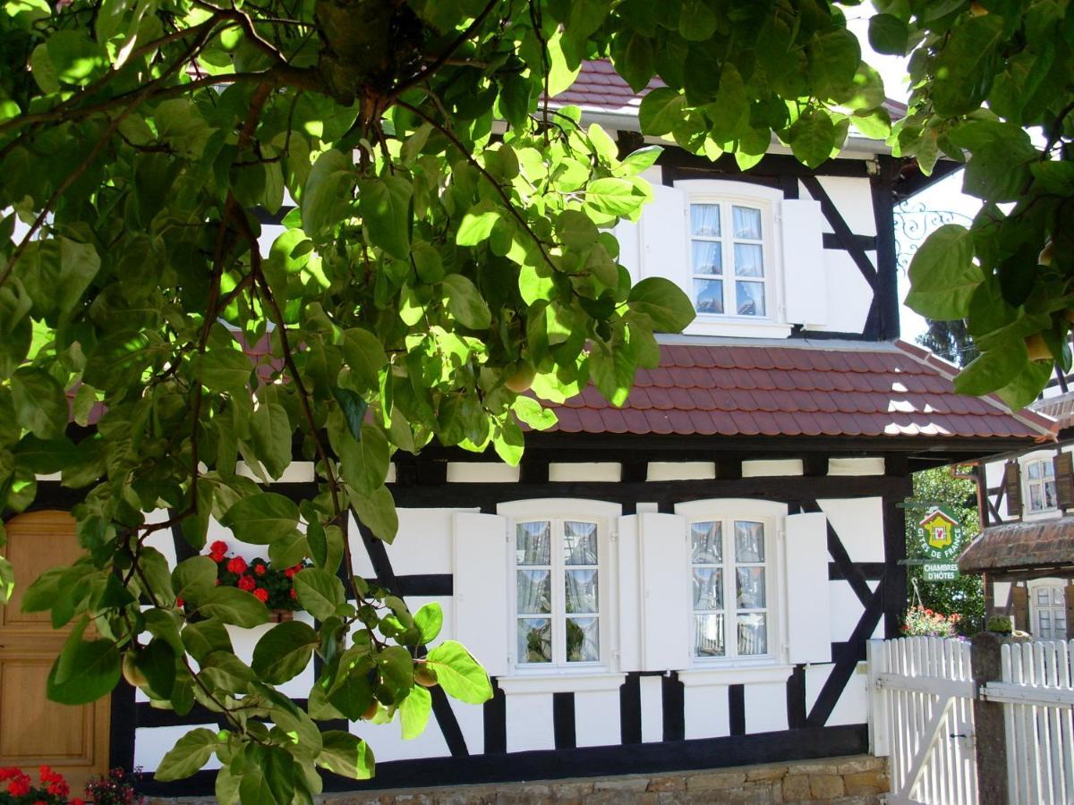 Gites Et Chambres D'Hotes Maison Ungerer Hunspach Exteriér fotografie