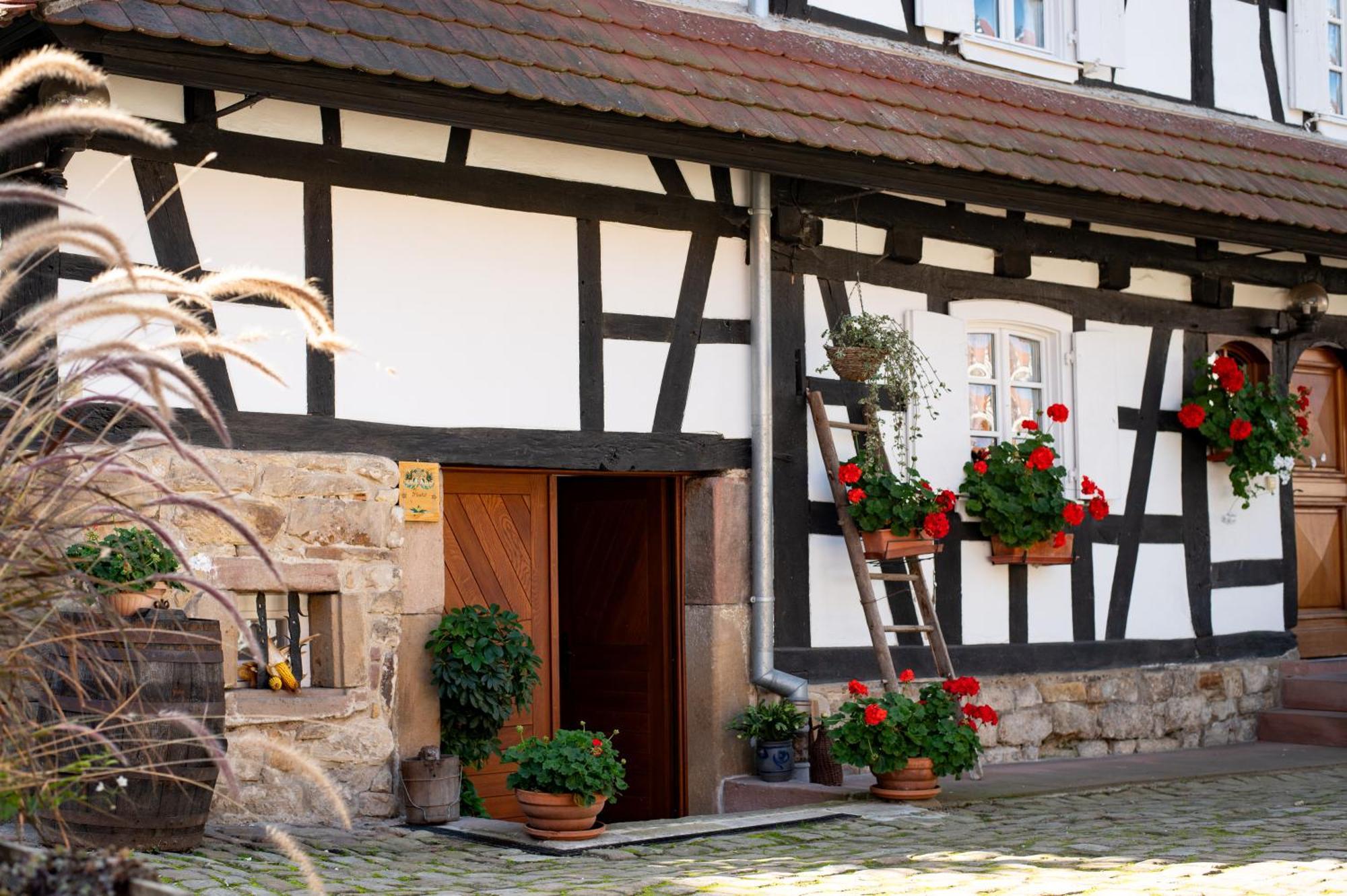 Gites Et Chambres D'Hotes Maison Ungerer Hunspach Exteriér fotografie