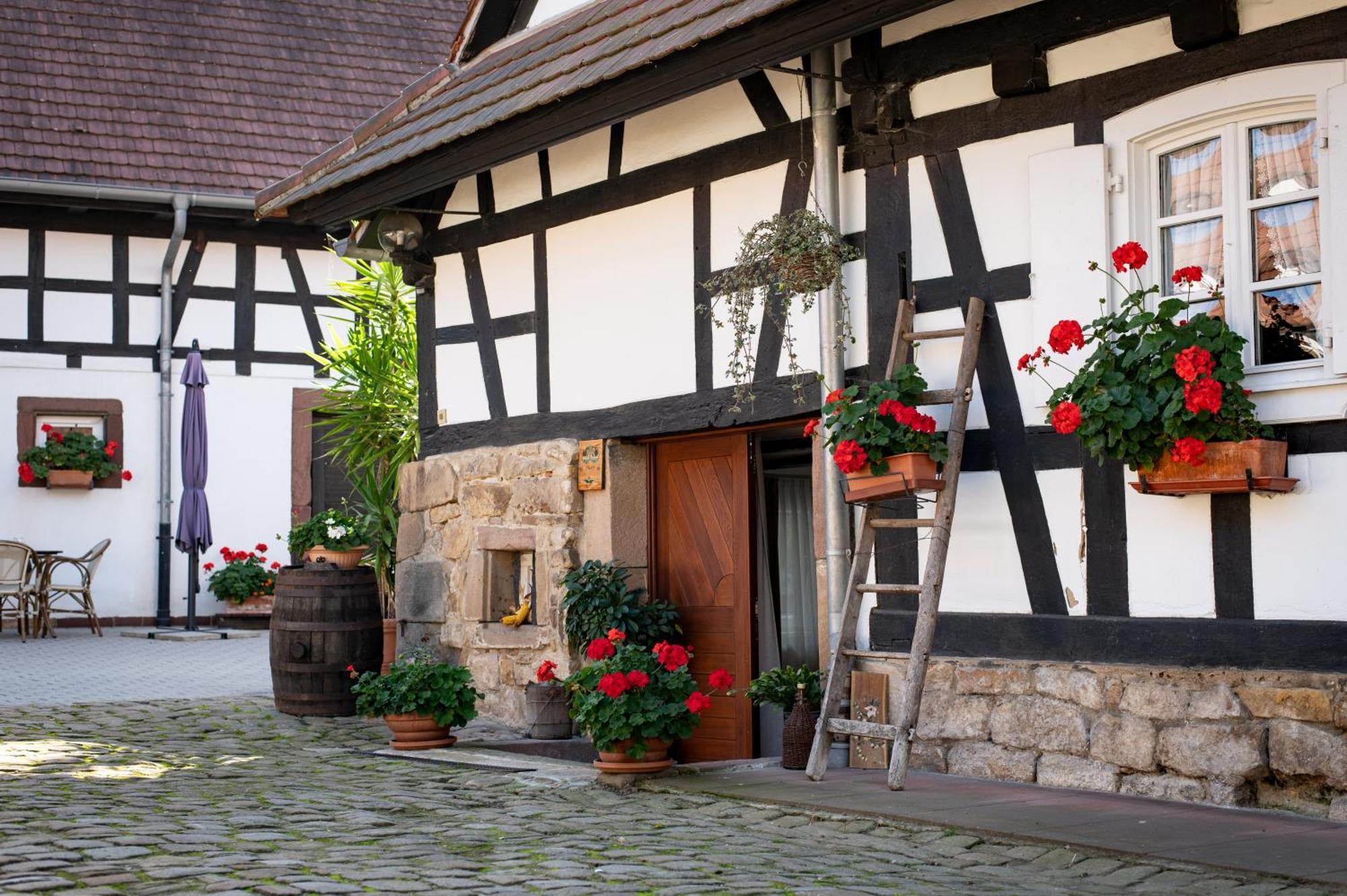 Gites Et Chambres D'Hotes Maison Ungerer Hunspach Exteriér fotografie